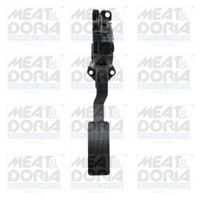 Accelerator Pedal Unit